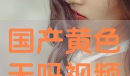 成人在线视频国产,成人在线视频领域的创新与突破