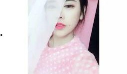 主播国产,主播国产生态圈深度解析